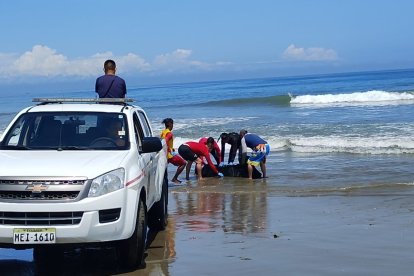 Pescadores ayudaron a rescatar el cuerpo que fue llevado a criminalística.