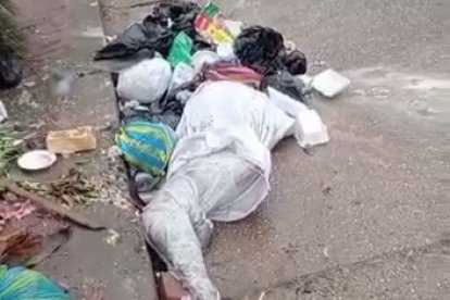 El cadáver del animalito estaba envuelto en fundas plástica y con cinta de embalaje.