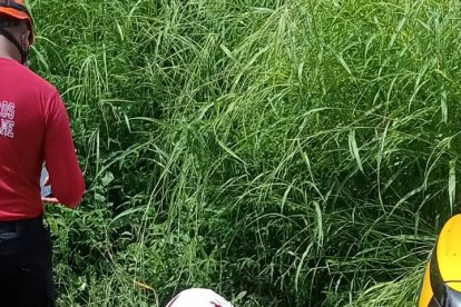 Al parecer los jóvenes se desplazaban en el automotor cuando les dispararon.