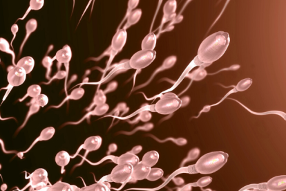 Científicos de Florida crean chip para separar los espermatozoides "buenos"
