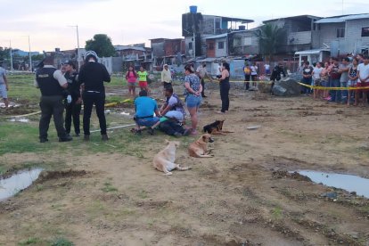 Los tres perros que tenía Carlos Alarcón lo acompañaron hasta el día de su fallecimiento.