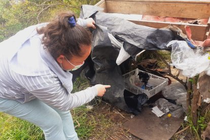 Una moradora asegura que los  malhechores se esconden en huecos y salen en las noches.