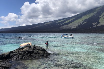 La limpieza marino costera se realizó en un sector de la isla Isabela, la más grande de Galápagos.