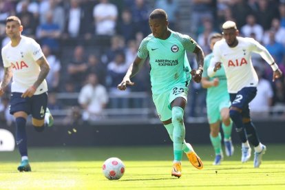 El volante ecuatoriano Moisés Caicedo fue titular en el triunfo del Brighton ante el Tottenham.