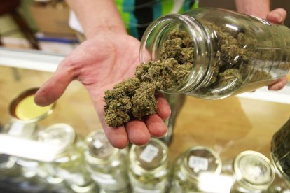 El uso recreativo de la marihuana se extiende por el mundo.