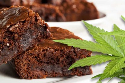 ¡Fue capturada la novia que puso 'hierba' en la comida de bodas!