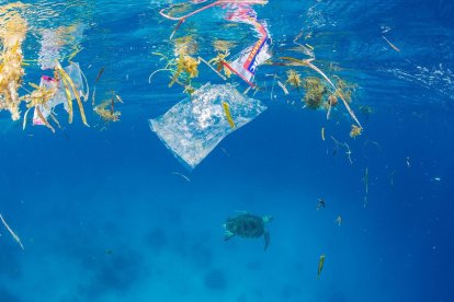 Plástico y demás desechos afectan el fondo de los oceanos.