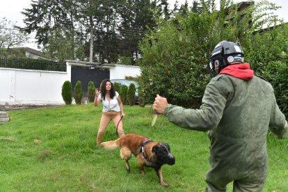 Los perros están  entrenados para defender a las mujeres de sus atacantes.