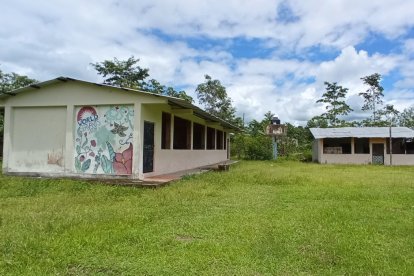 La maleza crecida es el denominador común en varios de los planteles.