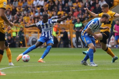 Moisés Caicedo se ha convertido en uno de los titulares fijos del Brighton de Inglaterra.