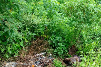 Así fue encontrado el fallecido