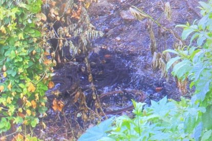 ¡Hallaron un cuerpo carbonizado en ella entrada a Socio Vivienda!