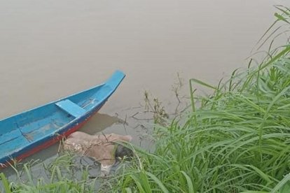 El cuerpo del agricultor flotaba en el río.
