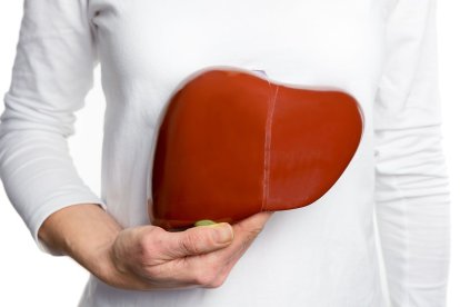 El hígado cumple diversas funciones en el organismo.