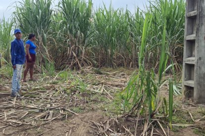 Familiares del muchacho llegaron al sitio donde lo encontraron muerto.