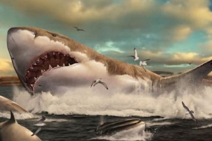 Según estudios paelontológicos, el megalodón fue más grande de lo que se creía.