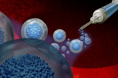 Descubren crioprotector que podría alargar la vida de órganos en trasplantes