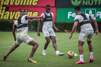 Los canarios visitan este sábado 2 de julio a los puros criollos en el estadio Olímpico Atahualpa en un tradicional duelo del fútbol nacional.