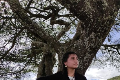 Ñusta Picuasi sorprendió con la versión andina. El video tiene 2.6 millones de visualizaciones.