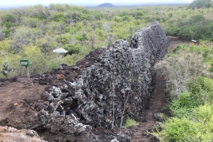 El muro tiene una extensión de unos 100 metros por 7 metros de alto. Está formado por cientos de rocas volcánicas.