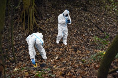 Parte de los restos humanos yacían cubiertos por hojas secas en un canal de riego.