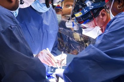 Trasplantan con éxito corazones de cerdo modificados a humanos fallecidos