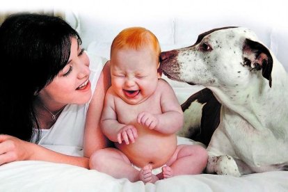 Si el perro tiene mal comportamiento es importante que lo vea un etólogo. No lo mandes al patio, ni lo aísles.