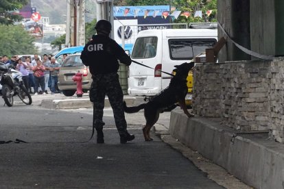 El equipo Antiexplosivos del GIR acudió a la escena para controlar la novedad.
