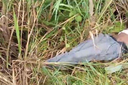 Comuneros habrían ubicado a las víctimas por la maleza manchada con sangre.