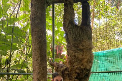 Cuqui Brown gana destrezas en el centro de rescate YanaCocha.