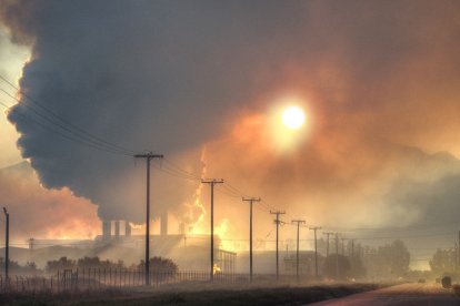 El cambio climático puede agravar más del 50% de las enfermedades infecciosas