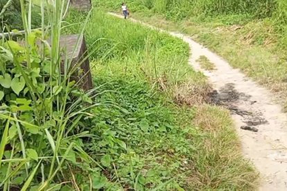 Sobre el camino de tierra aún hay señales del atroz crimen contra Édgar Palomino.