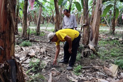 Los residentes se reunirán a la medianoche para tratar de averiguar algo del fenómeno.