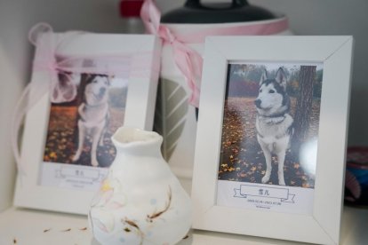 Dar el último adiós a las mascotas, un negocio en auge en China