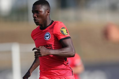 El volante ecuatoriano Moisés Caicedo es una de las revelaciones de la Premier League.