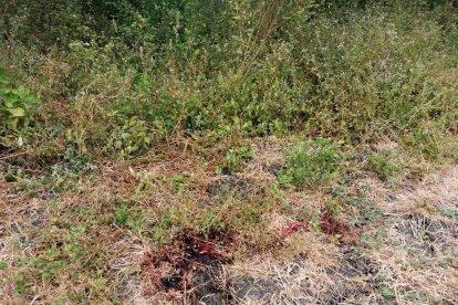 En este lugar fueron ejecutados 3 hombres la noche del miércoles, en las afueras de Durán