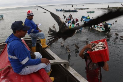 En Posorja, la mayoría de gente de bien se dedica a actividades relacionadas con la pesca.