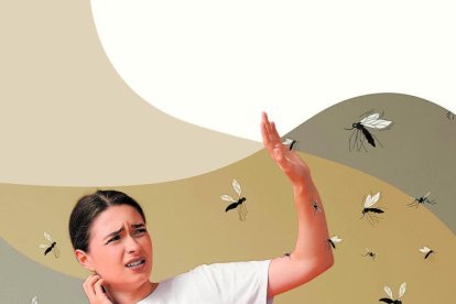 Con productos que tienes en casa te puedes liberar de los moscos.