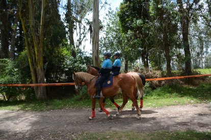 Agentes metropolitanos resguardan el parque desde el 25 de agosto.