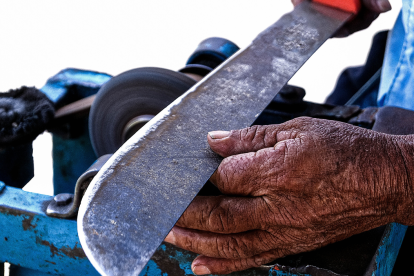El asesinato se habría cometido con un machete