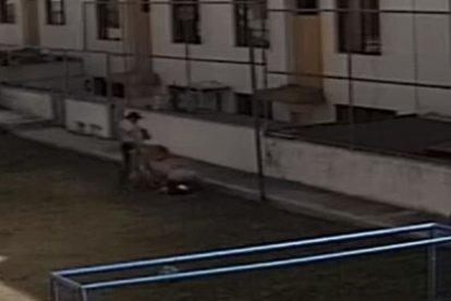 En el video se puede ver que el niño está jugando en la cancha, el perro entra y lo ataca. Una vecina intenta detener al can.