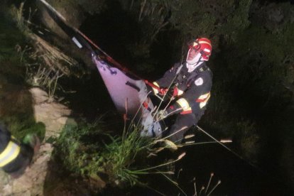 El cadáver de la adulta mayor fue sacado la medianoche del domingo y presentaba varios golpes.