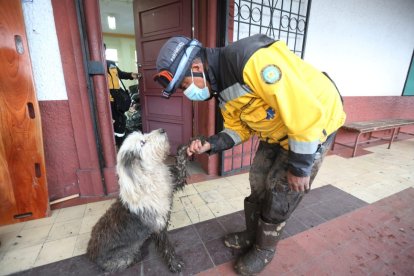 Christian Rivera rescató al can hace 27 años. El perrito estaba atropellado y, luego de meditarlo, decidió adoptarlo.