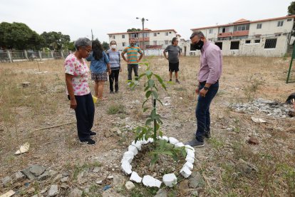 El barrio, hace pocos días, decidió sembrar una docena de árboles.