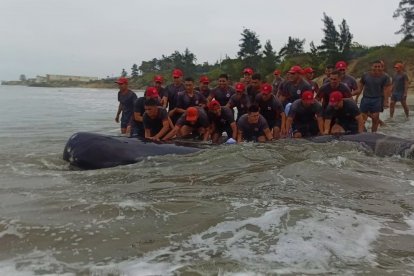 Militares devolvieron una orca al mar