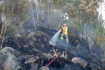 576 hectáreas de vegetación han desaparecido en Azuay y Cañar por efecto del fuego