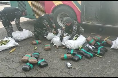 Los agentes revisaron los sacos y en su interior encontraron los paquetes con sustancias.