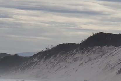 Unas 230 ballenas varadas en una remota playa de isla australiana de Tasmania