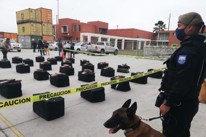 Policías de antinarcóticos con sus canes lograron hallar tres tonelada de droga dentro de un contenedor.