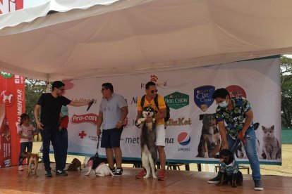 El ingreso al evento es gratuito. Se puede jugar con las mascotas y adquirir productos de emprendedores.